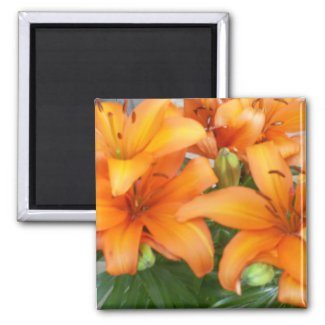 Orange Lily Flowers Fridge Magnet