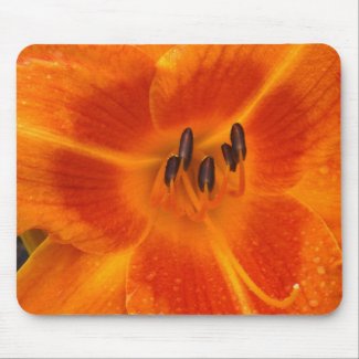 Orange Lily No Border Mousepad zazzle_mousepad