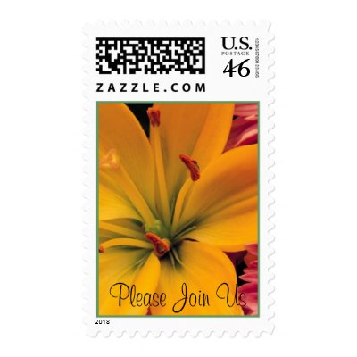 Orange Lily -  Please Join Us Postage Stamps