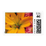 Orange Lily Stamps