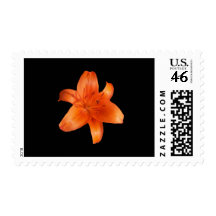 Orange Lily Postage
