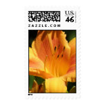 Orange Lily Postage Stamp