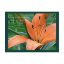 Orange Lily postcards