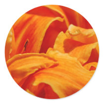 Orange Lily Stickers by mlane53 Orange Lily Stickers