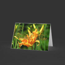 Orange Lily Thank You Card cards
