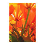 Orange Lily Wonderland Canvas Prints