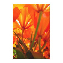 Orange Lily Wonderland canvas prints