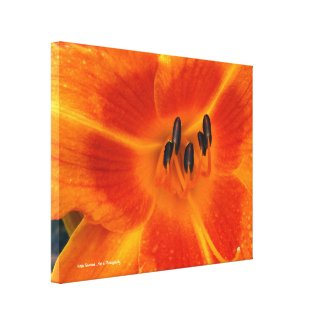Orange Lily Wrapped Canvas Print