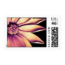 Orange Magenta postage