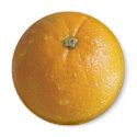 Orange Magnet 01 by phantompanther Orange Magnet 01