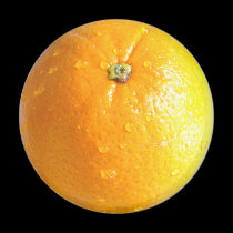 Orange Magnet 02 by phantompanther Orange Magnet 02