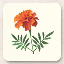 Orange Marigold cork coasters