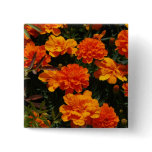 Orange Marigold Flowers  Pin
