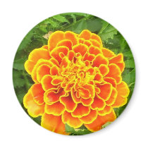 Orange Marigold Magnet