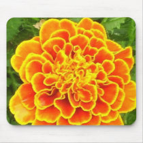 Orange Marigold Mouse Pad