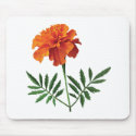 Orange Marigold mousepad