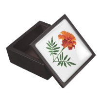 Orange Marigold premium gift boxes
