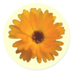 Orange Marigold Sticker