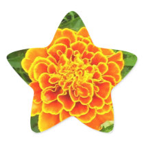 Orange Marigold Sticker