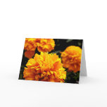 "Orange Marigolds" Card
