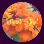 Orange Marigolds