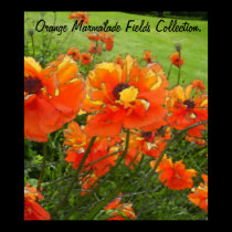 Orange Marmalade Fields Collection. posters