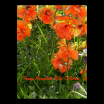Orange Marmalade Fields Collection. posters