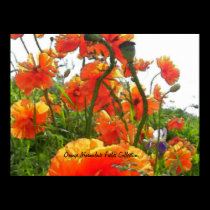 Orange Marmalade Fields Collection. posters