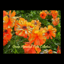 Orange Marmalade Fields Collection. posters