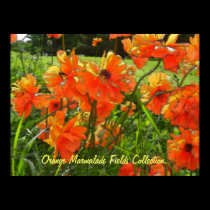 Orange Marmalade Fields Collection. posters