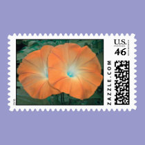 Orange Morning Glory Duo postage stamps