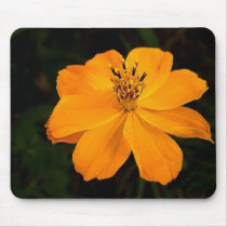 Orange... mousepads