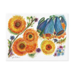Orange Mum 78 Postcard