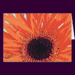 Orange Mum