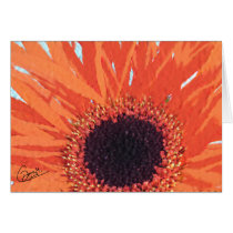 Orange Mum cards