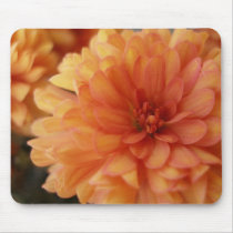 Orange Mum mousepads by dannamarie72 Orange Mum mousepads