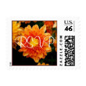 Orange Mum - postage by princessklb07 Orange Mum - postage
