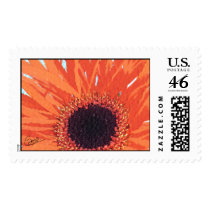 Orange Mum Postage Stamp