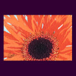 Orange Mum