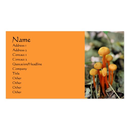 Orange Mushrooms Nature Photography Business Card from Zazzle.com