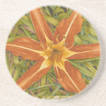 Orange Nova coaster