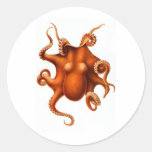 Orange Octopus Round Sticker