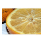 Orange on Canvas Print Orange on Canvas Print