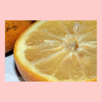 Orange on Canvas Print posters