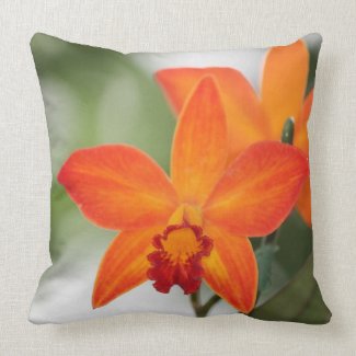 Orange Orchid Cotton Pillow