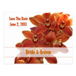 Orange Orchid Save The Date Postcard