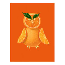 Orange owl post cards