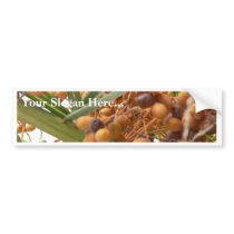 Orange Palm Tree Fruits bumper stickers