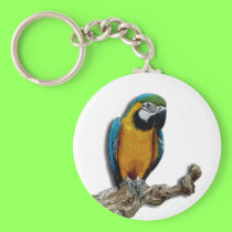 Orange Parrot alone keychain keychains