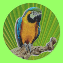 Orange Parrot alone stickers - customized stickers